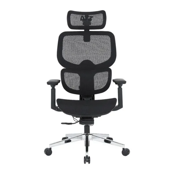 Cadeira DT3 Ergonômica Ergonomie Preto 14580-8