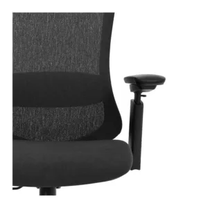 Cadeira Ergonômica DT3 Elin Black 14881-2