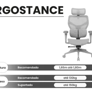 Cadeira Ergonômica DT3 ErgoStance Grey Mesh Braços 5D Apoio Lombar Ajustável 14898-0